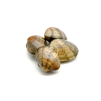 Almeja fina gallega grande | Comprar almejas online